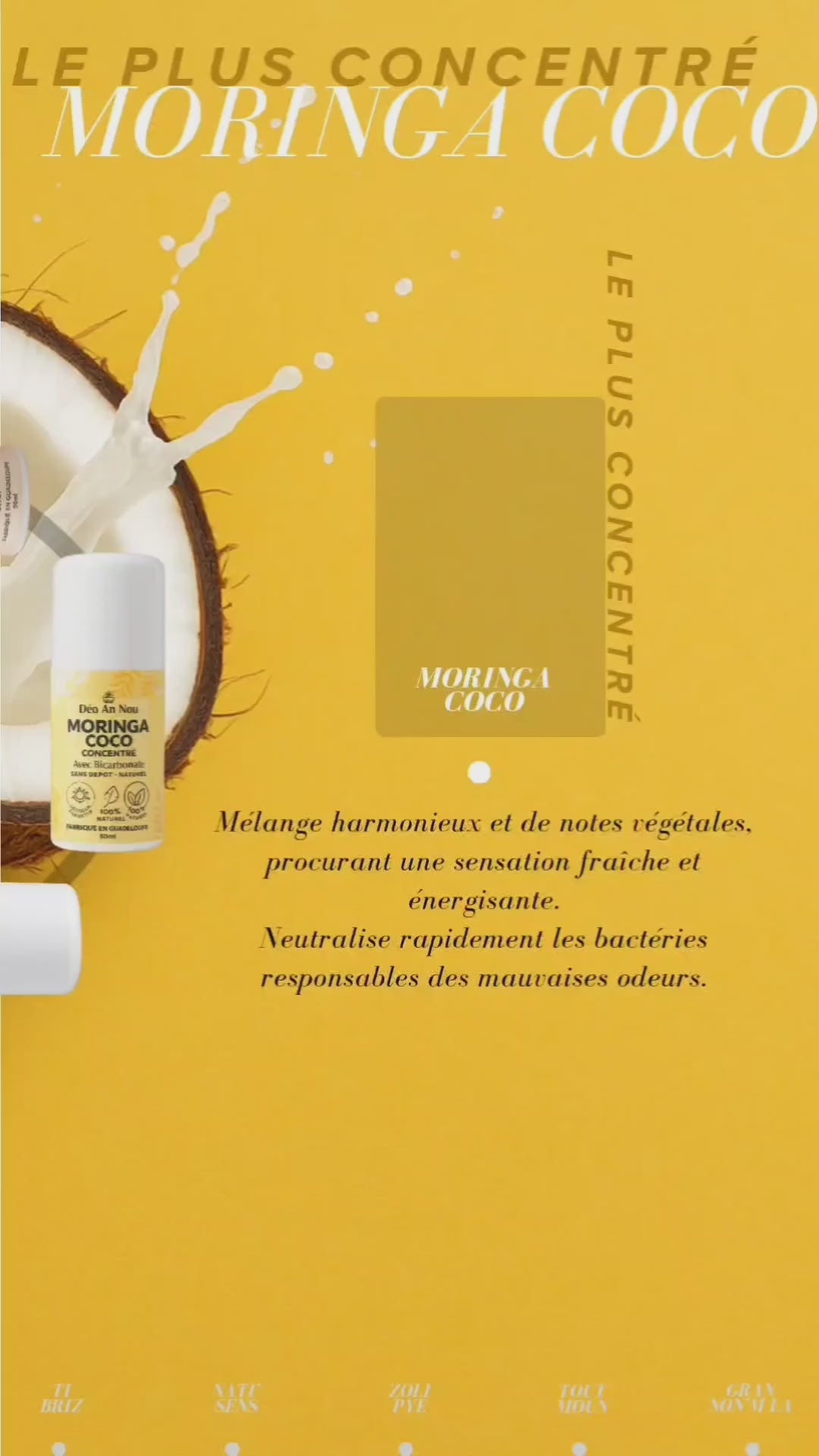 Moringa Coco PUISSANCE 4